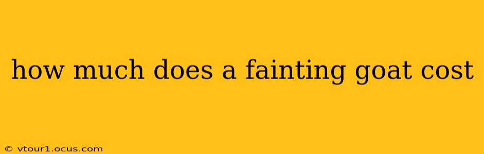 how much does a fainting goat cost
