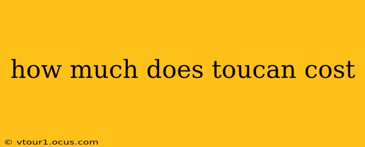 how much does toucan cost