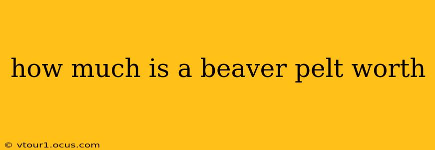 how much is a beaver pelt worth