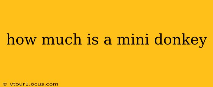 how much is a mini donkey
