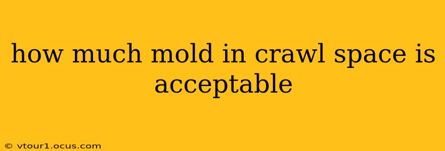 how much mold in crawl space is acceptable