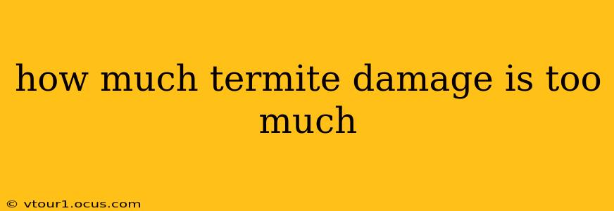 how much termite damage is too much