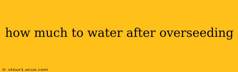 how much to water after overseeding