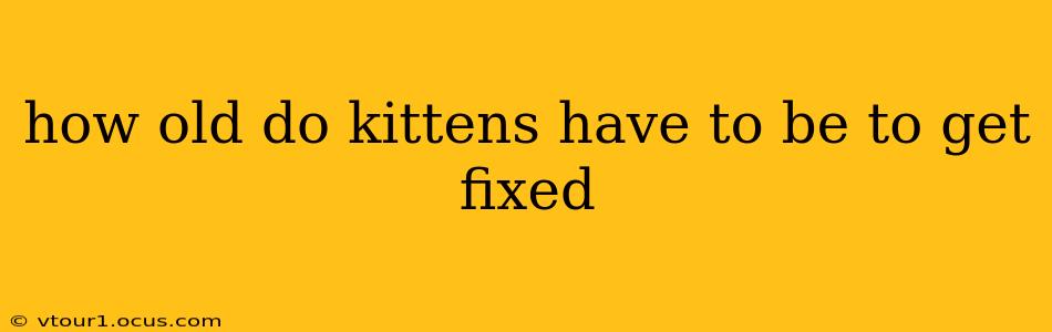 how old do kittens have to be to get fixed