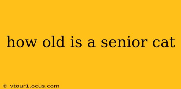 how old is a senior cat