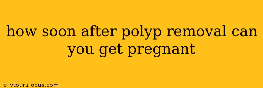 how soon after polyp removal can you get pregnant