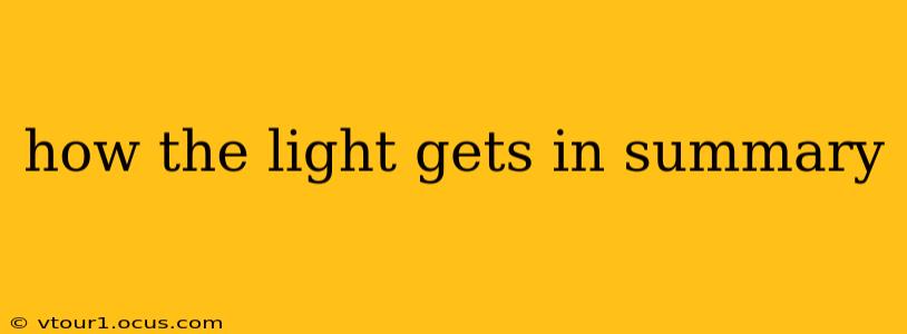 how the light gets in summary