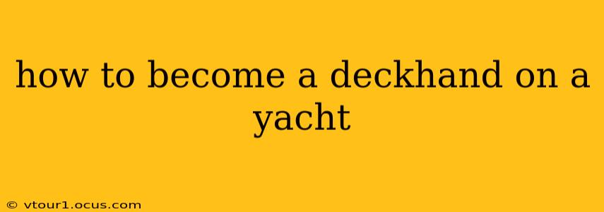 how to become a deckhand on a yacht
