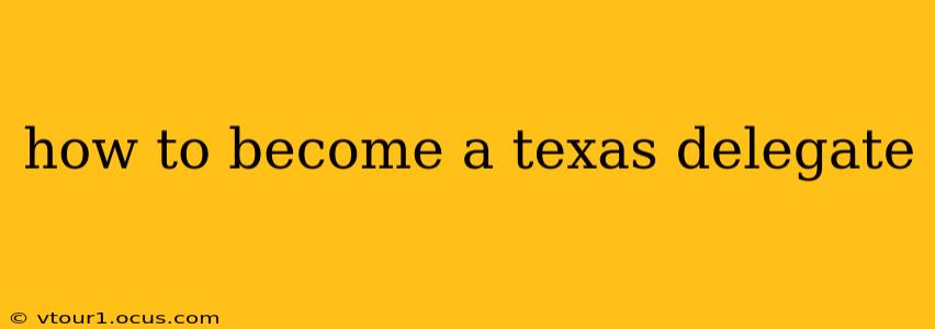 how to become a texas delegate