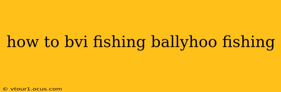 how to bvi fishing ballyhoo fishing