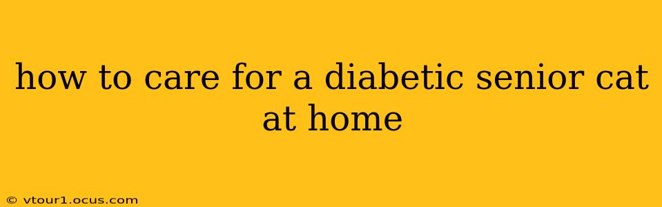 how to care for a diabetic senior cat at home