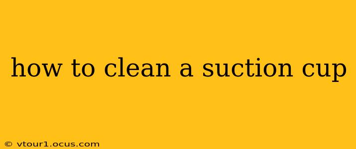 how to clean a suction cup
