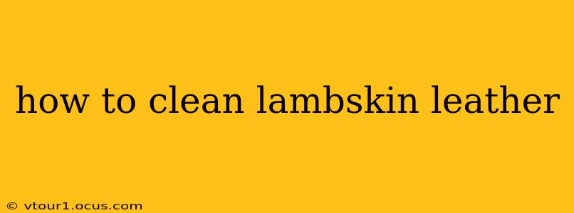 how to clean lambskin leather