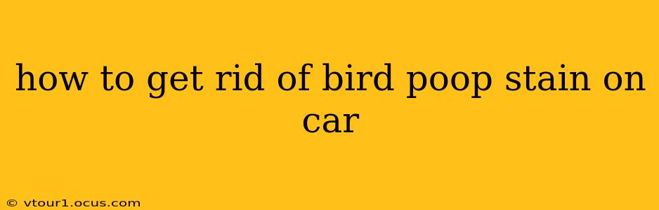 how to get rid of bird poop stain on car