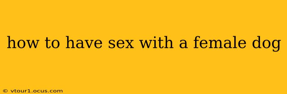 how to have sex with a female dog how to have sex with a female dog