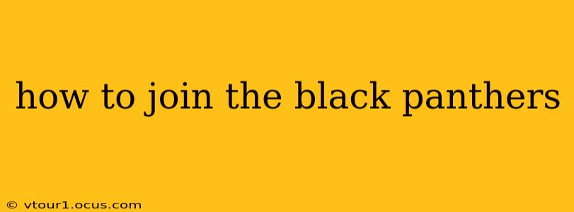 how to join the black panthers