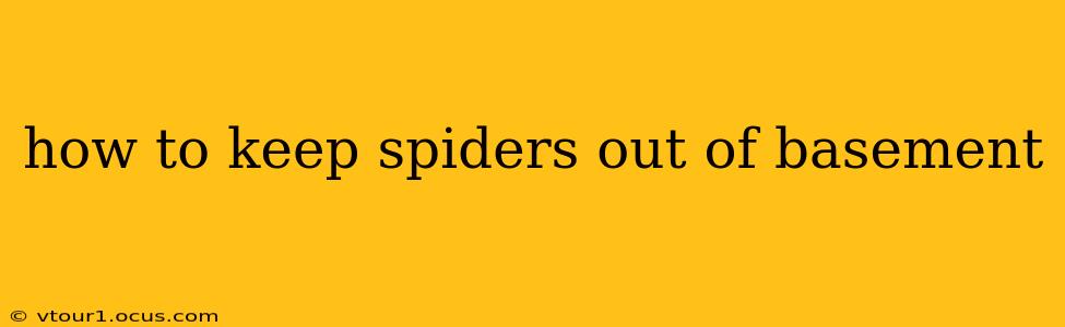 how to keep spiders out of basement