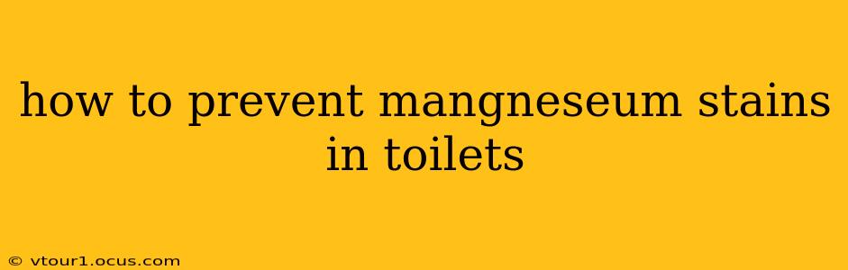 how to prevent mangneseum stains in toilets