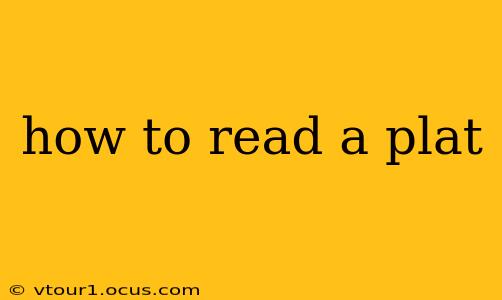 how to read a plat
