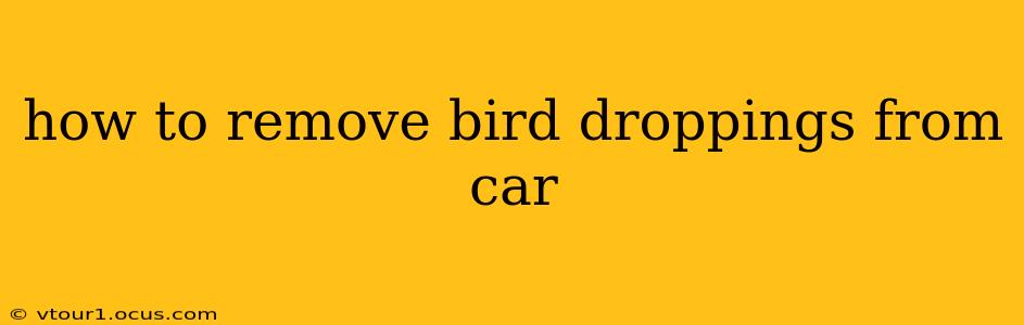 how to remove bird droppings from car