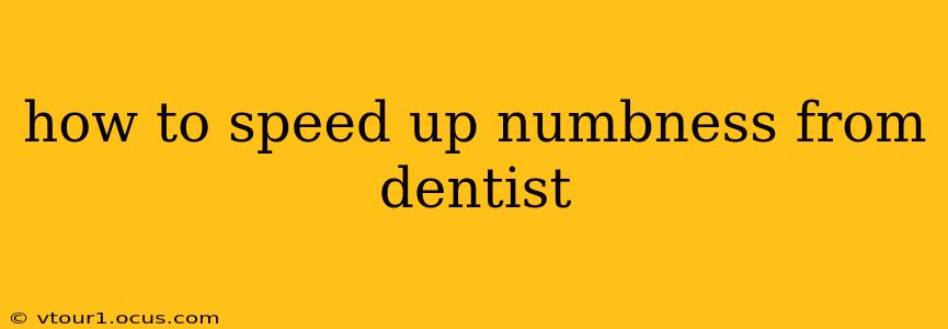 how to speed up numbness from dentist