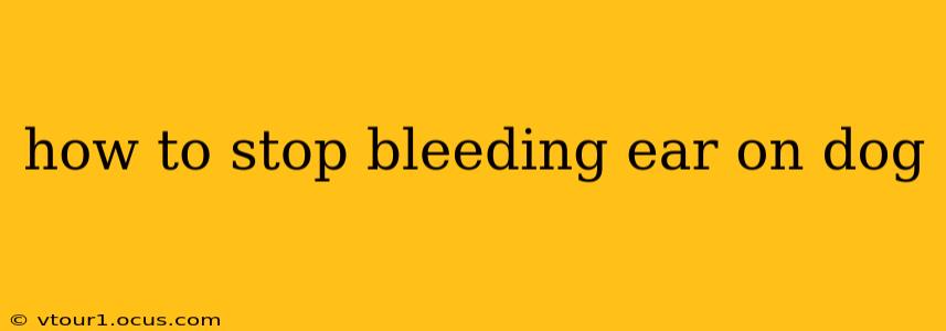 how to stop bleeding ear on dog