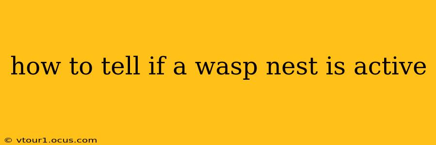 how to tell if a wasp nest is active