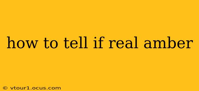 how to tell if real amber