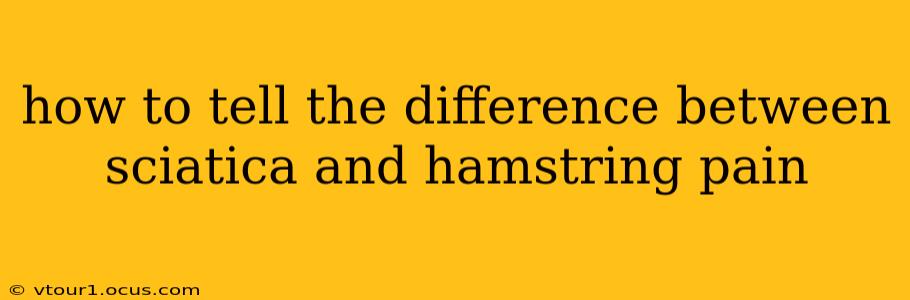 how to tell the difference between sciatica and hamstring pain