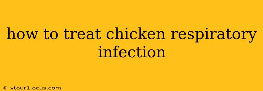 how to treat chicken respiratory infection
