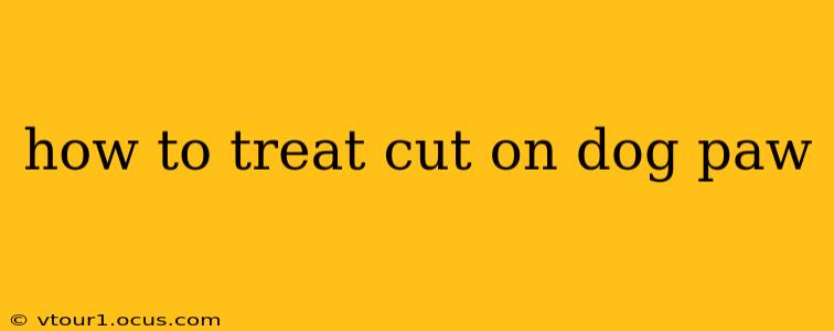 how to treat cut on dog paw