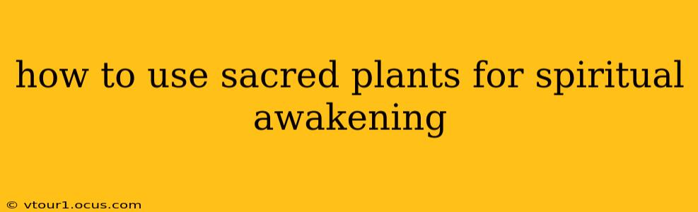 how to use sacred plants for spiritual awakening