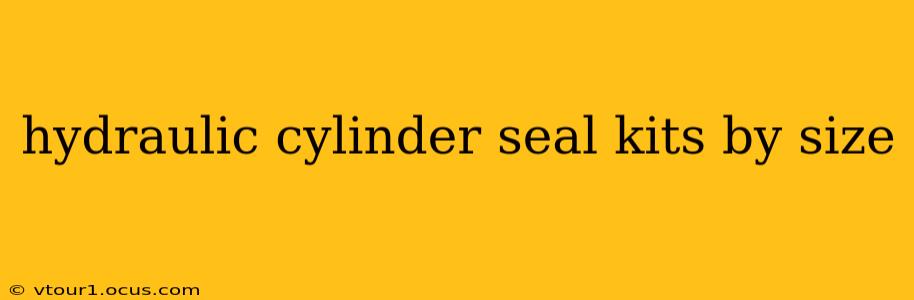 hydraulic cylinder seal kits by size