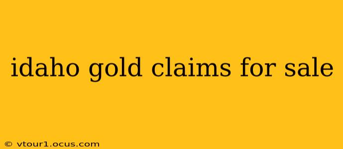idaho gold claims for sale