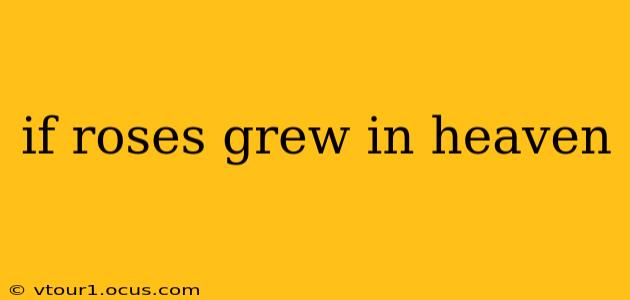 if roses grew in heaven