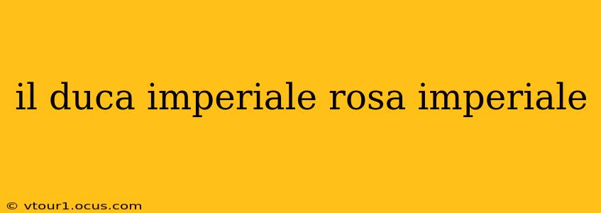 il duca imperiale rosa imperiale