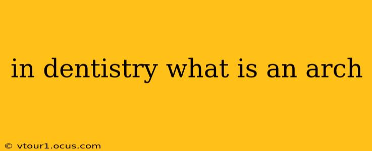 in dentistry what is an arch