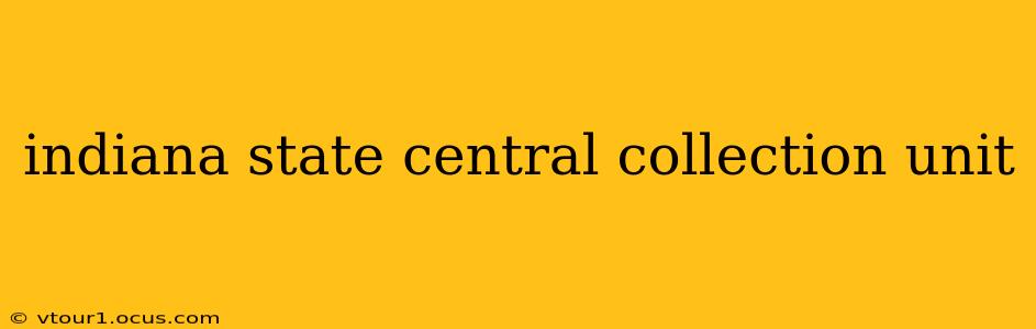 indiana state central collection unit