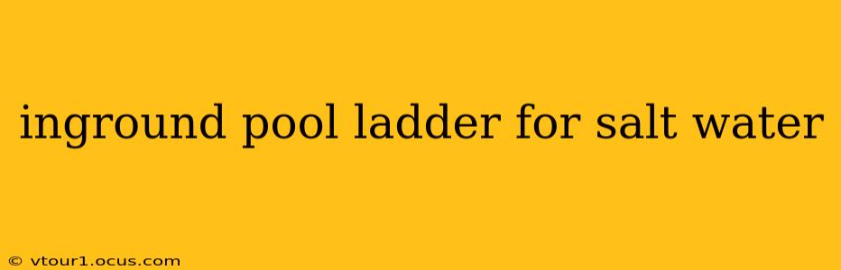 inground pool ladder for salt water