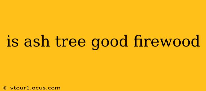 is ash tree good firewood