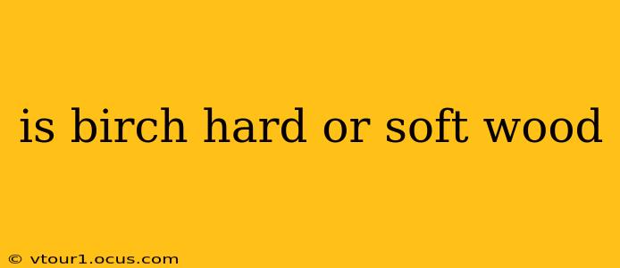 is birch hard or soft wood
