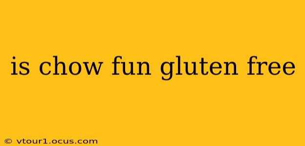 is chow fun gluten free