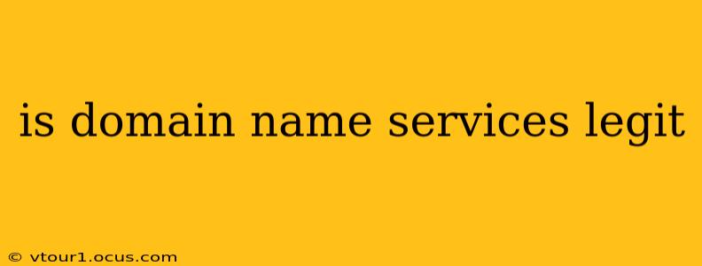 is domain name services legit