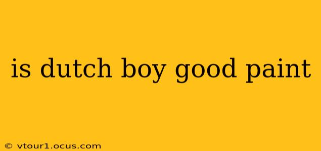 is dutch boy good paint