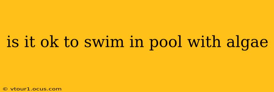 is it ok to swim in pool with algae