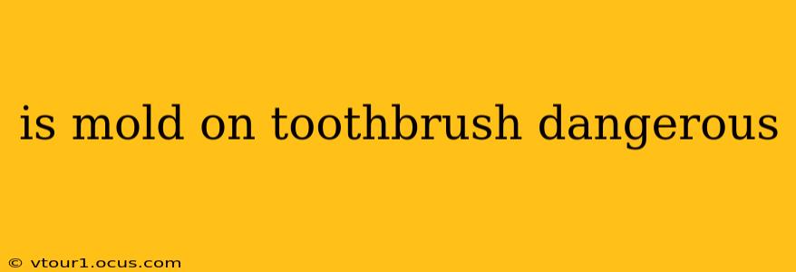 is mold on toothbrush dangerous