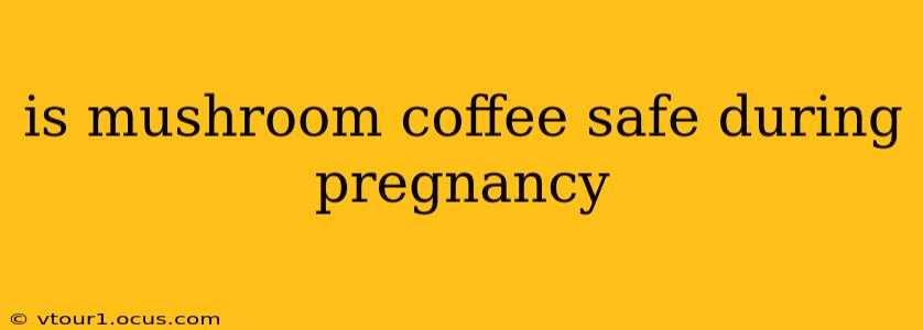 is mushroom coffee safe during pregnancy