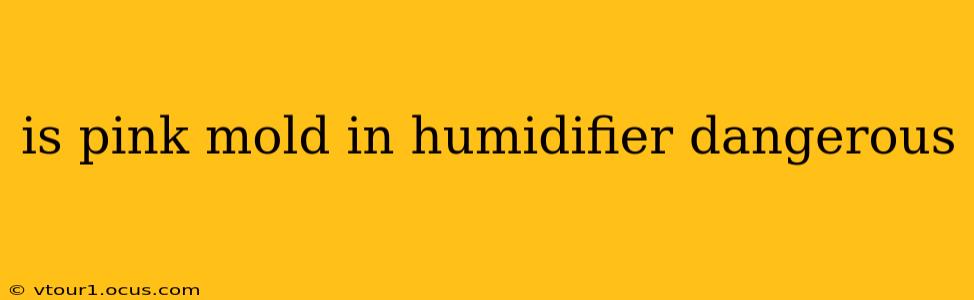 is pink mold in humidifier dangerous