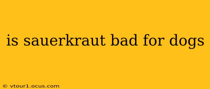 is sauerkraut bad for dogs