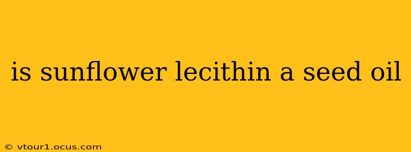 is sunflower lecithin a seed oil